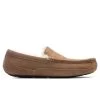 Ugg Ascot Slipper - Chestnut 1 Ugg Ascot Slipper - Chestnut -Ugg UGG Ascot Slipper Chestnut 1101110 CHE 10 30 2021 01