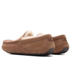 Ugg Ascot Slipper - Chestnut 8 Ugg Ascot Slipper - Chestnut -Ugg UGG Ascot Slipper Chestnut 1101110 CHE 10 30 2021 01 3