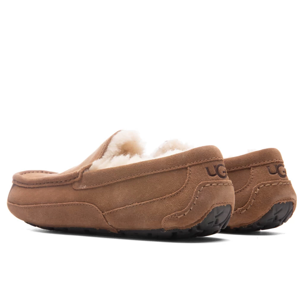 Ugg Ascot Slipper - Chestnut 5 Ugg Ascot Slipper - Chestnut - Image 3