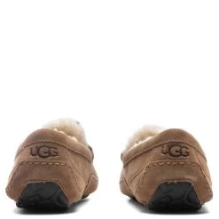 Ugg Ascot Slipper - Chestnut 9 Ugg Ascot Slipper - Chestnut -Ugg UGG Ascot Slipper Chestnut 1101110 CHE 10 30 2021 01 4