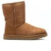 Ugg Women's Classic Short II Boot - Chestnut -Ugg ugg womens classic short ii boot chestnut